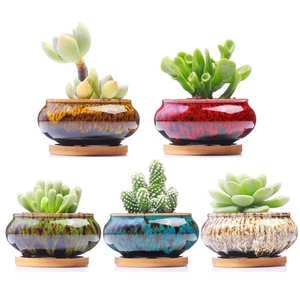 Cute Ceramic Succulent Garden Pots, Planter with Drainage and Attached Saucer... - Picture 1 of 6