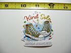AUTISM SUPPORT DECAL STICKER BE A KIND SOLE SHOES AWARENESS