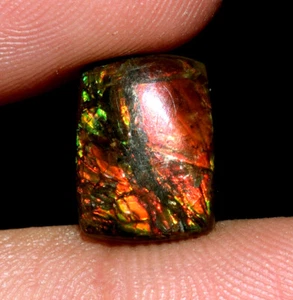 Natural Rare Ammolite Gemstone Cabochon 3.50 Ct Loose Ammolite Gemstone  - Bild 1 von 5