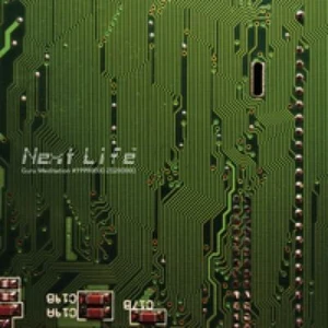Next Life - Guru Meditation LP #134692 - Picture 1 of 1