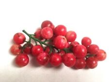 Antique Bunch Grapes Stone Marble Fruit Italy Primitive Alabaster Red Old