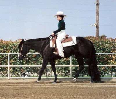 Horse Tail Extension 1lb Jet Black NEW by KATHYS TAILS Free bag included - Image 1 of 4