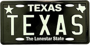 Texas State Nummernschild Neuheit Kühlschrankmagnet - Bild 1 von 2