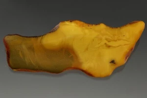 VINTAGE ANTIQUE Genuine BALTIC AMBER Egg Yolk Massive Brooch Pin 37.4g 200604-1 - Picture 1 of 4