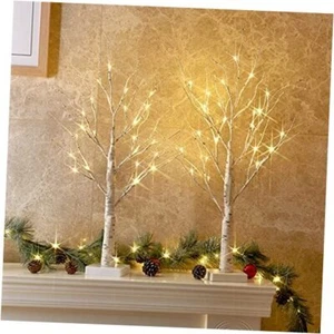 Christmas Decorations Indoor, 2 FT Birch Tree with LED Lights, Fairy Light - Picture 1 of 7