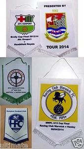 Pennant Personalised Your Sport Club 15cm x 10cm colour Any Design Football Cup - Picture 1 of 4