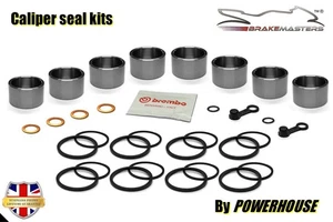 Triumph Speed Triple 1050 2010 front brake caliper piston seal maintenance - Picture 1 of 9