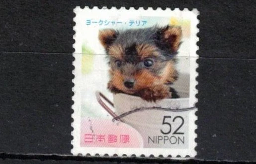 JAPÓN 2015 ANIMALES FAMILIARES USADOS Foto 1 de 1