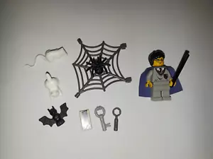 Lot LEGO Harry Potter MINIFIGURE Purple Cape CAT Mouse BAT Key SPIDER & WEB ++ - Picture 1 of 2