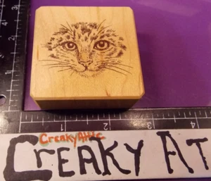 CAT KITTY FACE CLOSE UP REALISTIC RUBBER STAMP INKADINKADO 90917M CREAKYATTIC - Picture 1 of 2