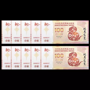 10pcs Chinese 2025 Zodiac Snake Year 100 Yuan Paper Money UNC Souvenir Banknotes - Picture 1 of 5