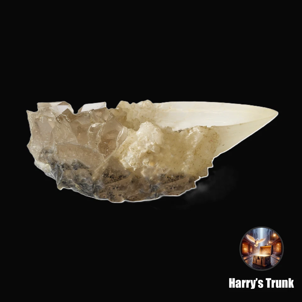 Harry Potter Noble Collection Replica Crystal Goblet from the Cave - New - Image 1 of 1