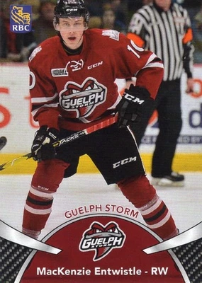 2018/19 Guelph Storm - MacKENZIE ENTWISTLE - Image 1 of 2