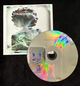 Audio CD - STATIC HEAVEN - Tribute to Evanescence - Like New (LN) WORLDWIDE SHIP - Imagen 1 de 3