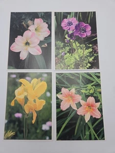 Vintage Botanical Flower Lithograph Print Set of 4 – Hippastrum, Anemone,... - Picture 1 of 2