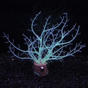 Silicone Glowing Artificial Fish Tank Aquarium Coral  Decor Accessories