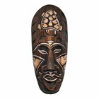African Wooden Mask Turtle Face Brown Hand Carved Tribal Safari Wall Art Hanging