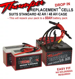 Thumper Battery replacement cells DROP in pack 48 AH / 50 AH pre-wired 12 volt - Picture 1 of 2