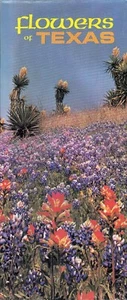FOLLETO/PÓSTER A COLOR FLORES DE TEXAS 1980 Departamento de Carreteras del Estado de Texas - Imagen 1 de 4