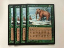 MTG 4X CHINESE BLACK BORDERED WAR MAMMOTH NM/M FBB MAGIC THE GATHERING CREATURE