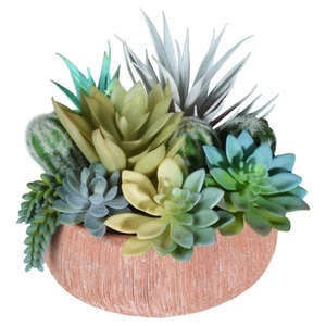 Colección Suculenta Artificial Surtida Premium - Gran Toque Real Artificia... - Imagen 1 de 6