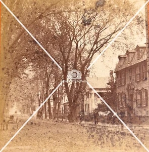 1880s Springfield MA Massachusetts Mass ELM STREET Antique STEREOVIEW PHOTO - Picture 1 of 6