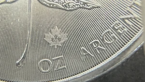 Kanada 2023 Maple Leaf 1oz reines Silber Anlagemünze PLUS kostenloses Authentifizierungsset - Bild 1 von 24