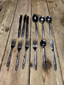 12 pc Vintage Nasco LADY CHARMING Stainless Flatware Fork Spoon Knife Mixed Lot - Picture 1 of 8