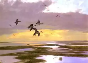 Wetland Pintails John Cowan Decoys Hunters Dog Texas Gulf Coast A Classic - Picture 1 of 1