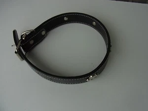Halsband "Pfote", ca. 48cm lang, 2,5cm breit. - Bild 1 von 5