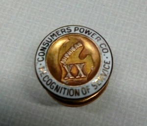 PIN DE 20 AÑOS ESMALTE DE 10 K GF DE 10 k CONSUMIDORES MICHIGAN SERVICIO DE RECONOCIMIENTO - Imagen 1 de 4