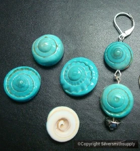 6 Turquoise Drilled Spiral Sea Shell charms Beach Cottage Decor Nautical NSS004 - Picture 1 of 3