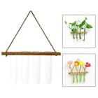 Wall Hanging Plant Propagation Station Glass Planter Test Tube Vase With Wooden