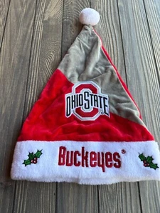 Ohio State Buckeyes Santa Hat With Embroidered Logo & Holly Design - Picture 1 of 5