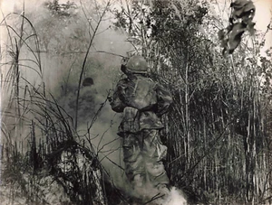 PHOTO PRESSE GUERRE INDOCHINE VIETNAM  CIRCA 1954 SOLDAT EN BROUSSE - Imagen 1 de 2