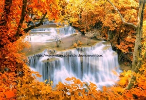 Waterfall Picture Fall Colors Leaves Matte Photo Image 13" X 19" - Picture 1 of 1