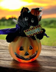 VINTAGE 2005 HALLOWEEN FIBEROPTIC CAT INSIDE PUMPKIN WITH ORIGINAL BOX - Picture 1 of 8