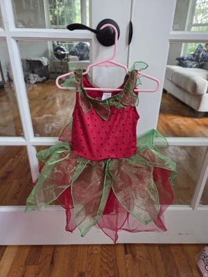 Strawberry Costume 2t-3t Gymboree - Image 1 of 2