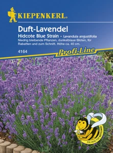 Parfum MHD 01.2026 - Lavande "Hidcote Blue Strain vivace coussin parfumé graines - Photo 1/2