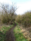 Photo 6x4 Footpath to Newhaven Newhaven/TQ4401 Beyond the Ouse Estuary N c2009
