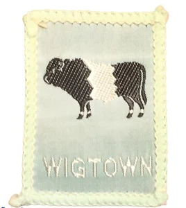 Vintage Pfadfinder Schottland Wigtown Aufnäher 1 1/2” x 2” B1 - Bild 1 von 2