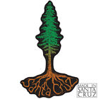 Santa Cruz Redwood Roots Tree Sticker Decal by Tim Ward