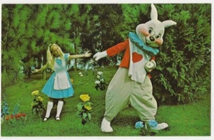Vintage Postcard Orlando FL Walt Disney World Hurry Alice We're Late Rabbit - Picture 1 of 4
