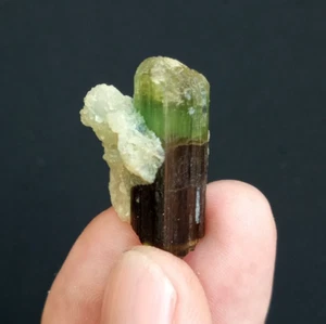 Elbaite Tourmaline with Albite from steknala Gilgit Baltistan Pakistan. - Picture 1 of 6