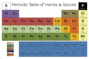 periodic table of SPICES poster KITCHEN FRIENDLY recipe enhancer 20x30 - Picture 1 of 1