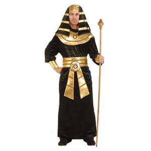 Pharaoh Costume - Picture 1 of 4