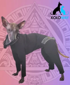 Black Romper for Male Dog, Jacket / Sweater, Medium/Large Bodysuit SAMPLE SALE - Picture 1 of 3