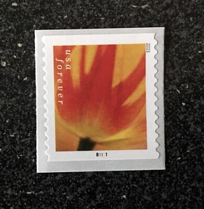 2023USA #5771 5776a Forever Tulip Blossoms - Plate Number PNC Coil Single Mint - Picture 1 of 2