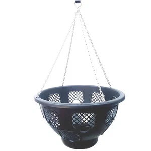 Easy Plant Hanging Baskets - Picture 1 of 30