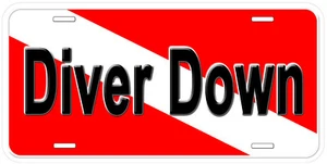Taucher Down Scuba Flagge beliebiger Name personalisiert Neuheit Auto Nummernschild - Bild 1 von 7